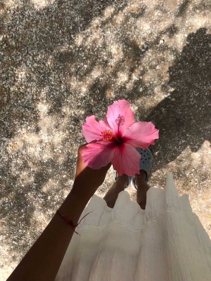 a person holding a pink flower in their hand on the ground with sunlight coming through