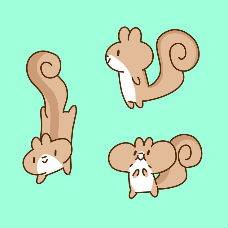 three cartoon squirrels with their tails curled up and facing different directions, on a green background