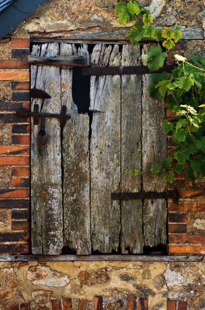 an old wooden window with vines growing out of it