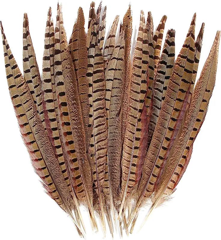 several brown and white feathers on a white background