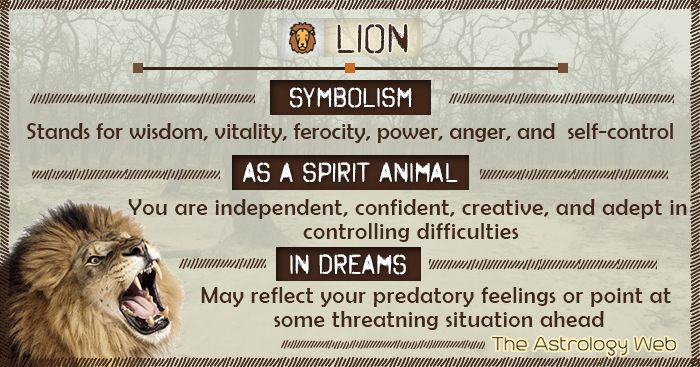 an animal with its mouth open and the words lion on it