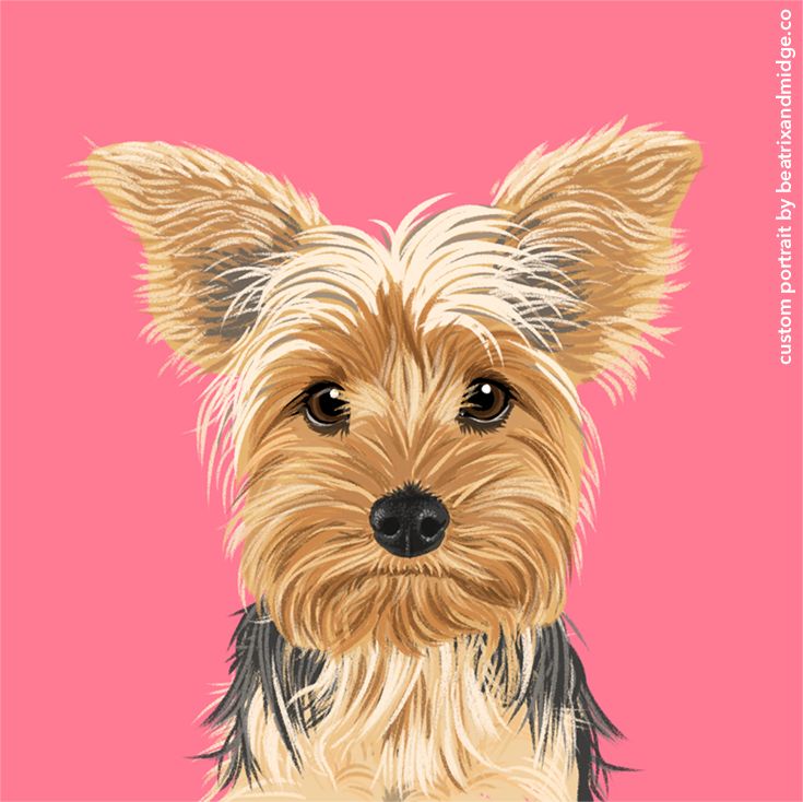 a drawing of a dog on a pink background