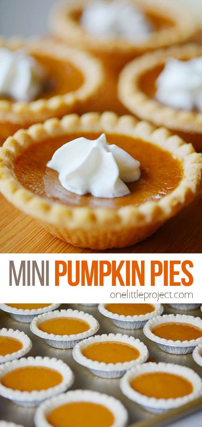 mini pumpkin pies with whipped cream on top