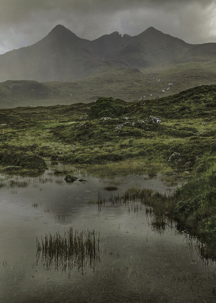 a small pond in the middle of a grassy field with mountains in the background on a cloudy day