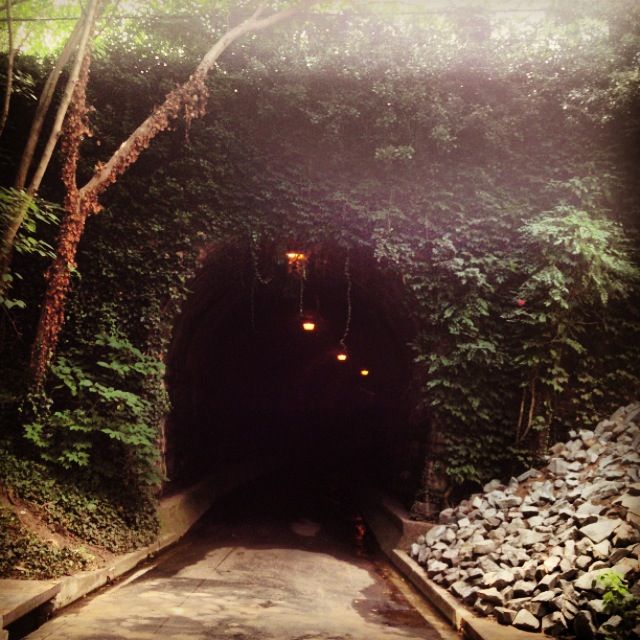 a dark tunnel in the middle of a forest