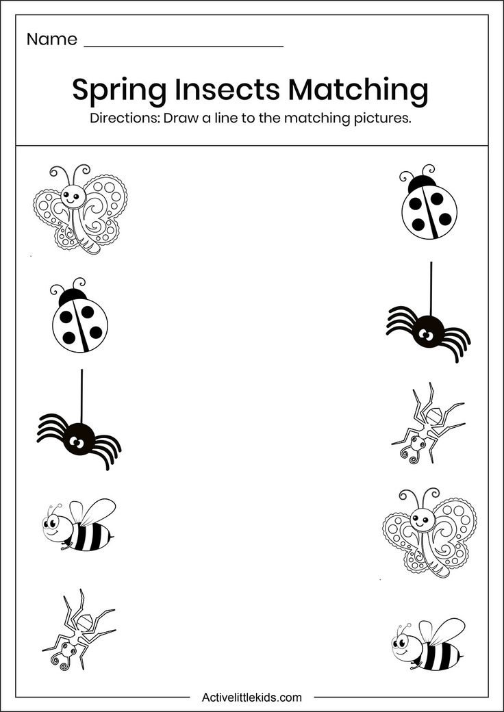 spring insect matching worksheet for kids to practice their handwriting and spelling skills with pictures