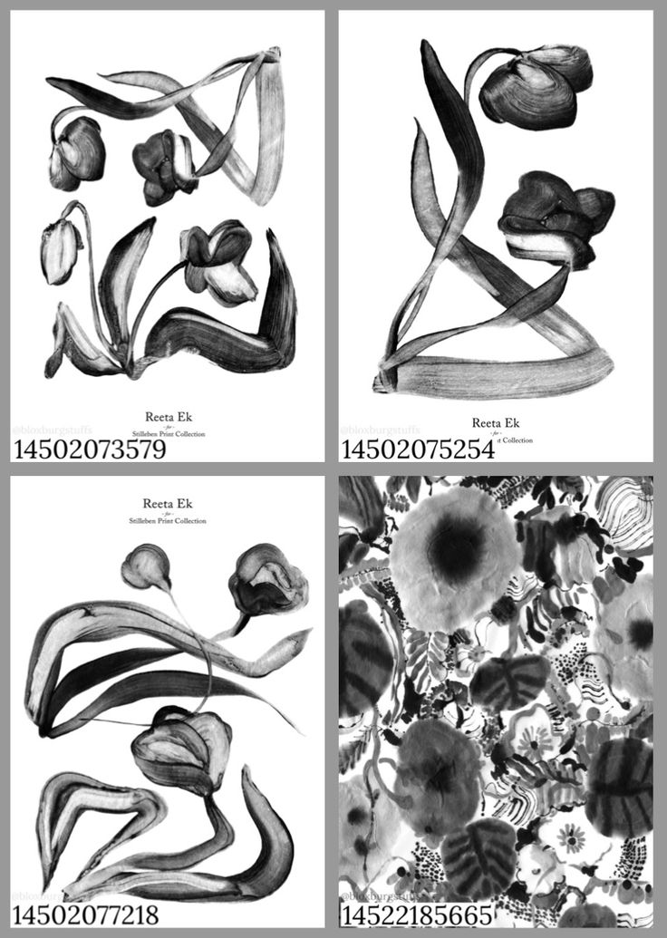 four different black and white pictures with flowers on them, each showing the same color scheme