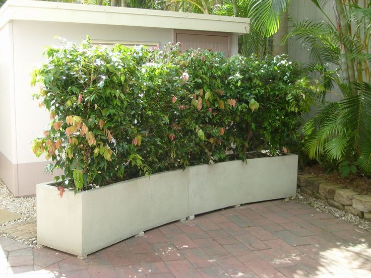 a planter filled with lots of green plants on top of a brick floor next to a building