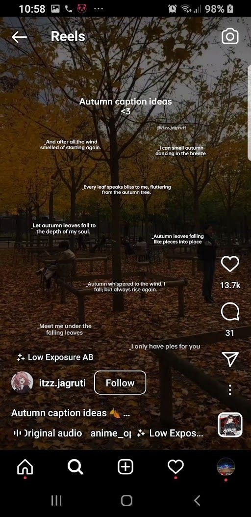 an iphone screen with the image of autumn trees