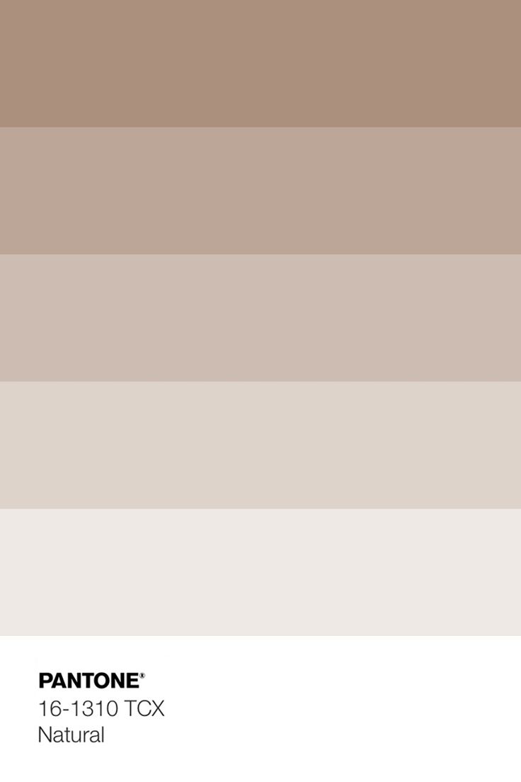 pantone's color swatches for the new york city subway station in beige and brown