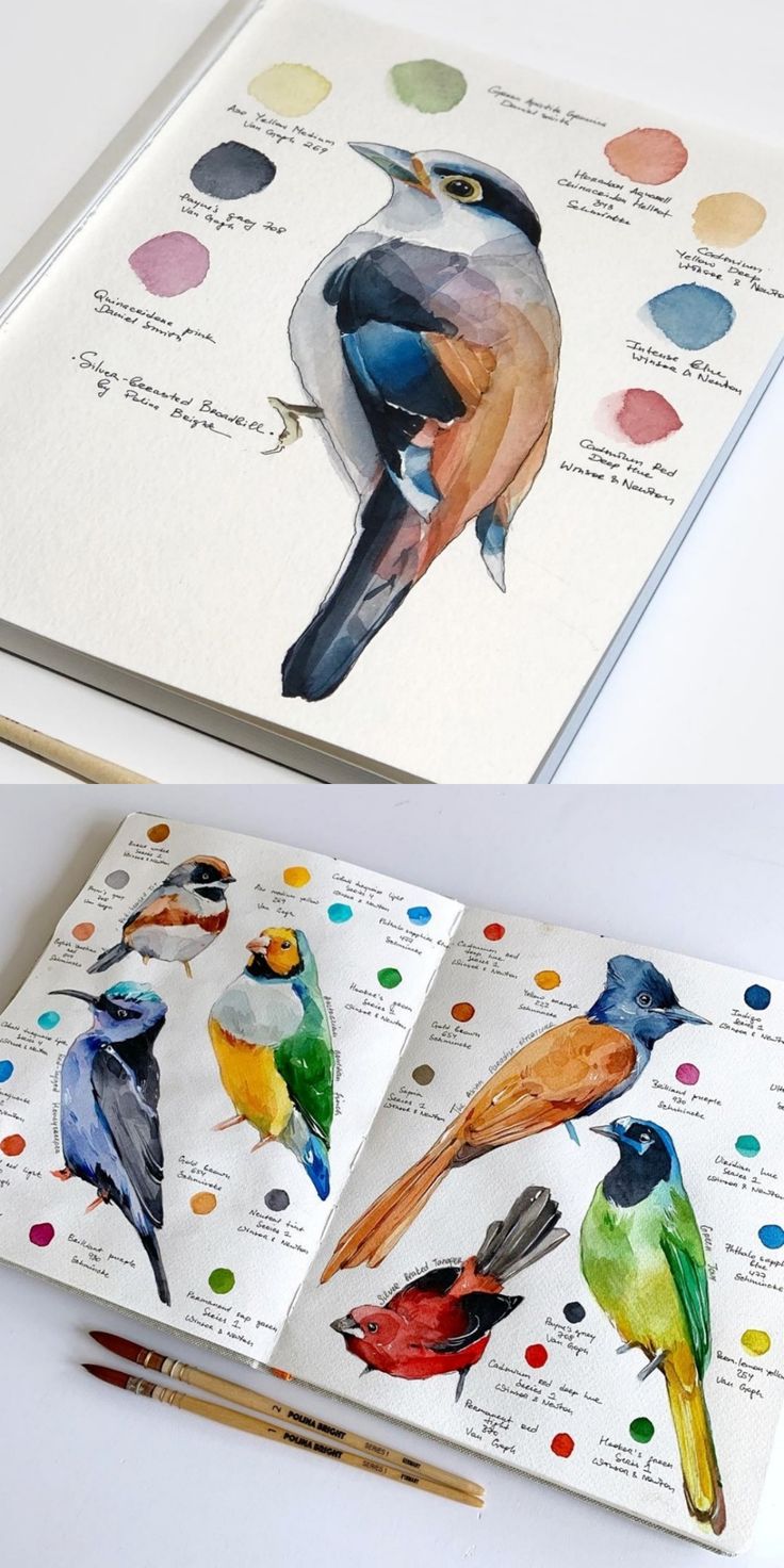 an open book with birds painted on it and colored pencils next to the pages