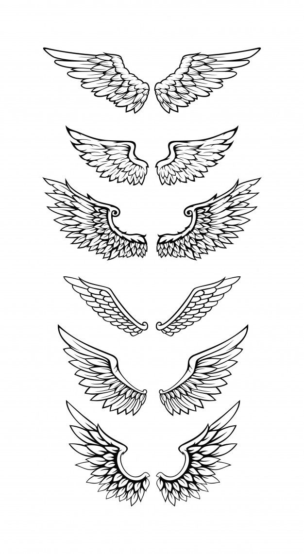 the different types of wings are shown in black and white