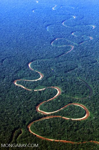 an aerial view of a river in the middle of a forest with lots of trees