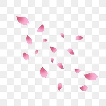 pink petals falling down from the sky on a white background png and psd