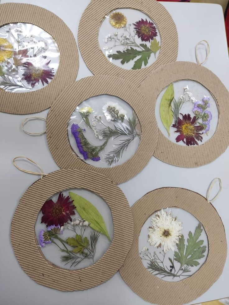 six pressed flowers are arranged in circles on a table with twine and string around them