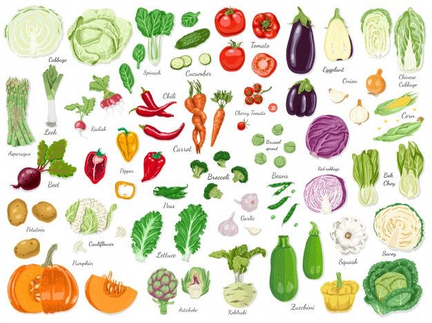 an illustration of different types of vegetables