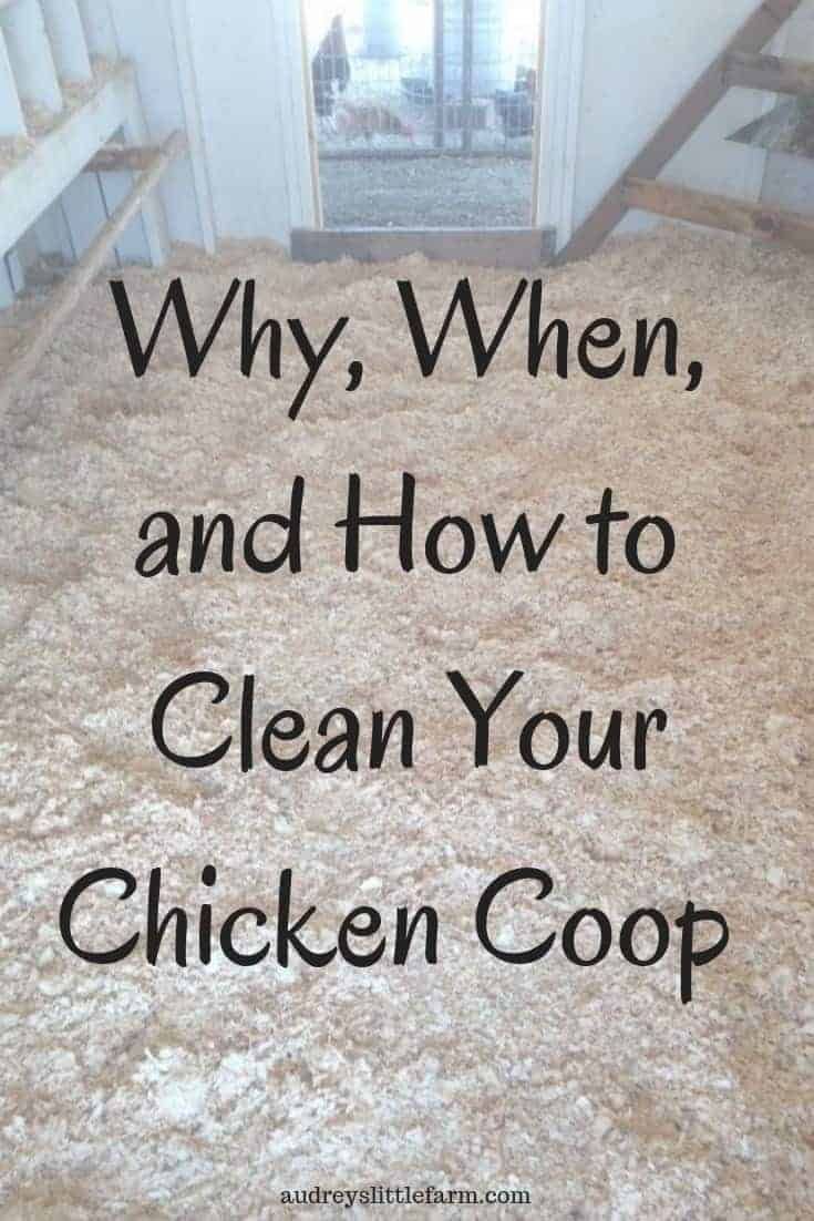 an open door with the words why, when and how to clean your chicken coop