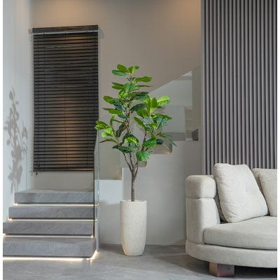 a living room filled with furniture and a potted plant next to a stair case