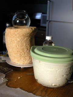 there is a container with rice in it on the table next to a glass jar