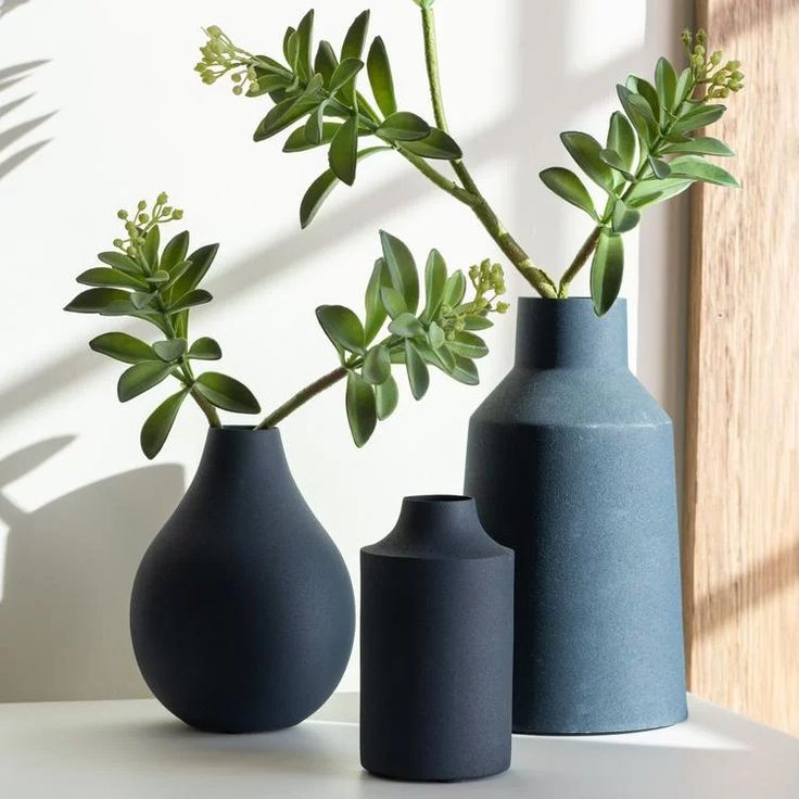 three vases with plants in them on a table