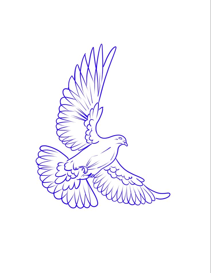 a drawing of a bird flying in the sky