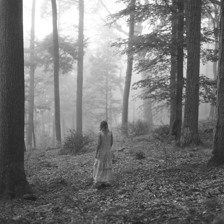 a woman standing in the middle of a forest on a foggy day with trees