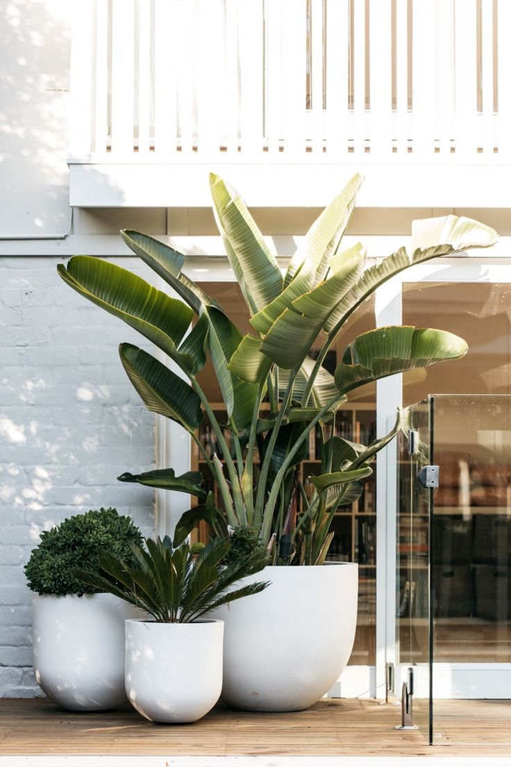 three white planters sitting on top of a wooden table in front of a building