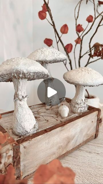 two white mushrooms sitting on top of a wooden box next to a tree with red leaves