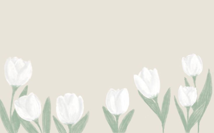 three white tulips with green stems on a beige background