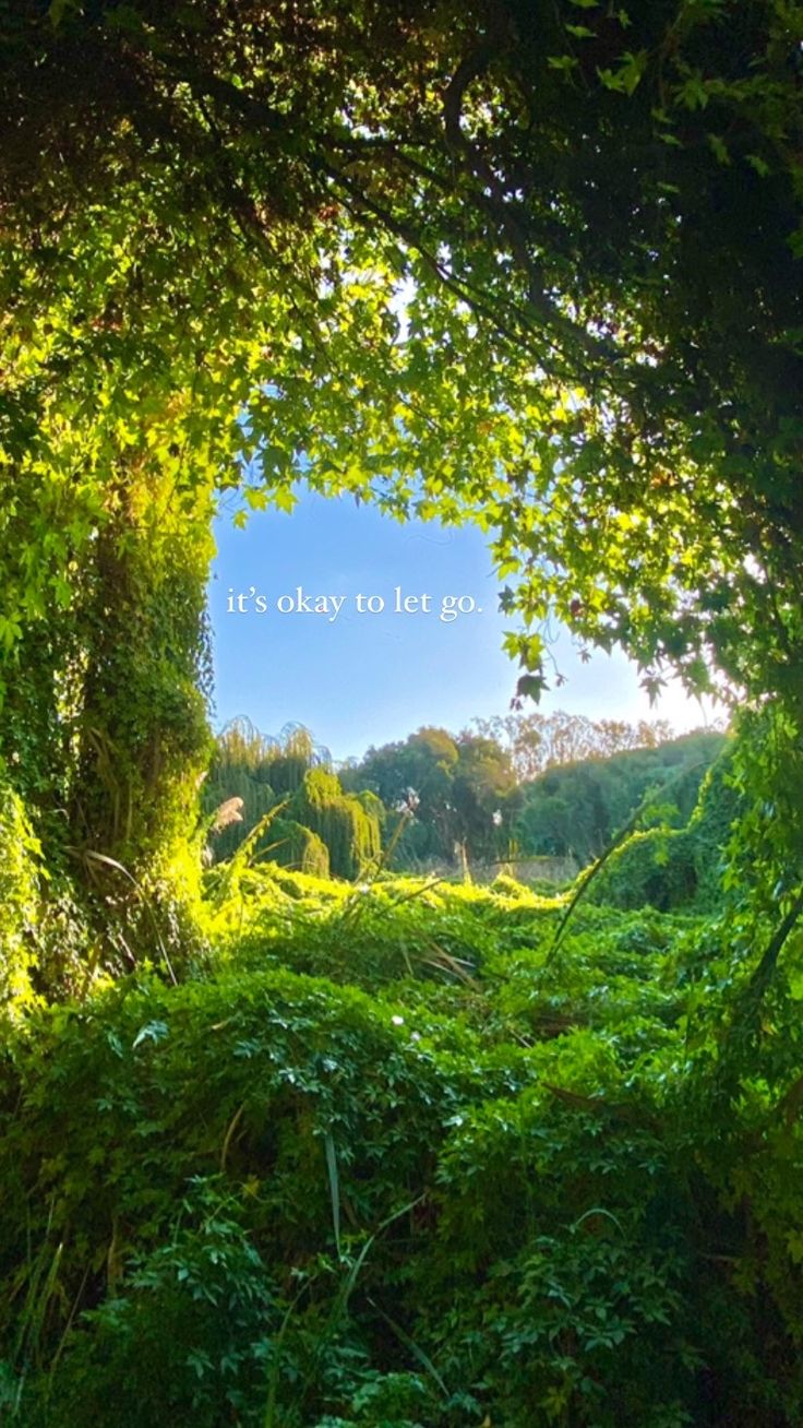 an open doorway in the middle of a lush green forest filled with trees and bushes