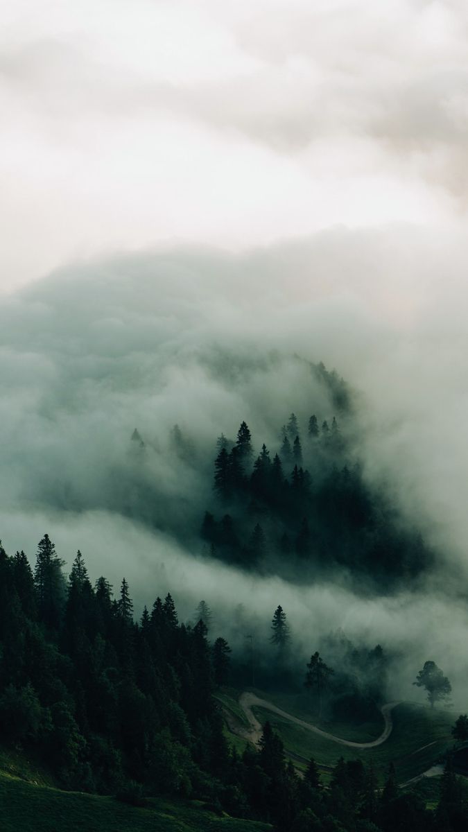 the mountains are covered in fog and trees