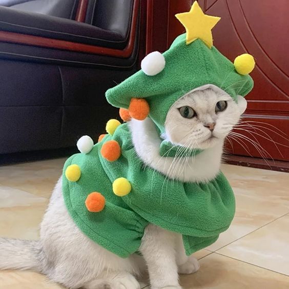 a white cat wearing a green christmas tree costume