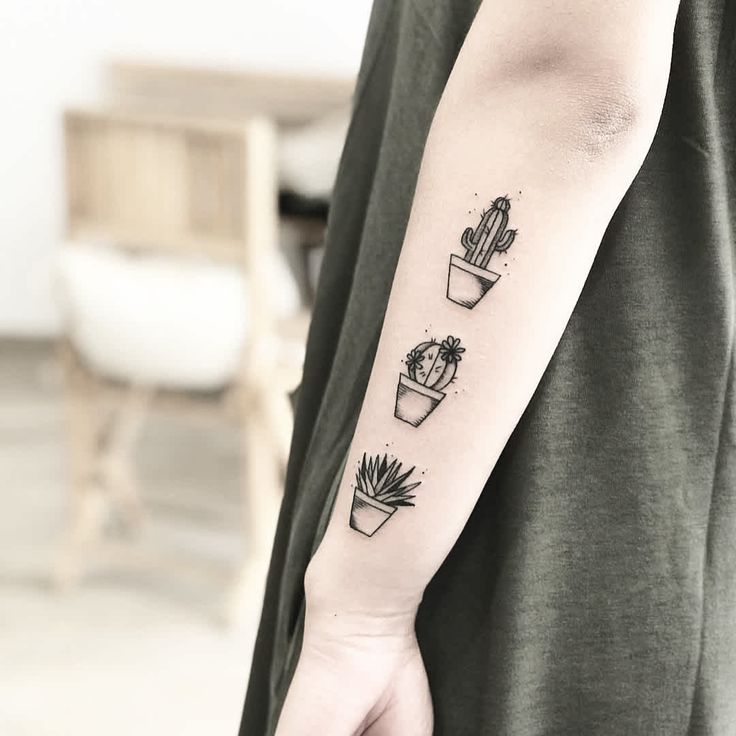 a person with a tattoo on their arm and two small cactuses in the same pot