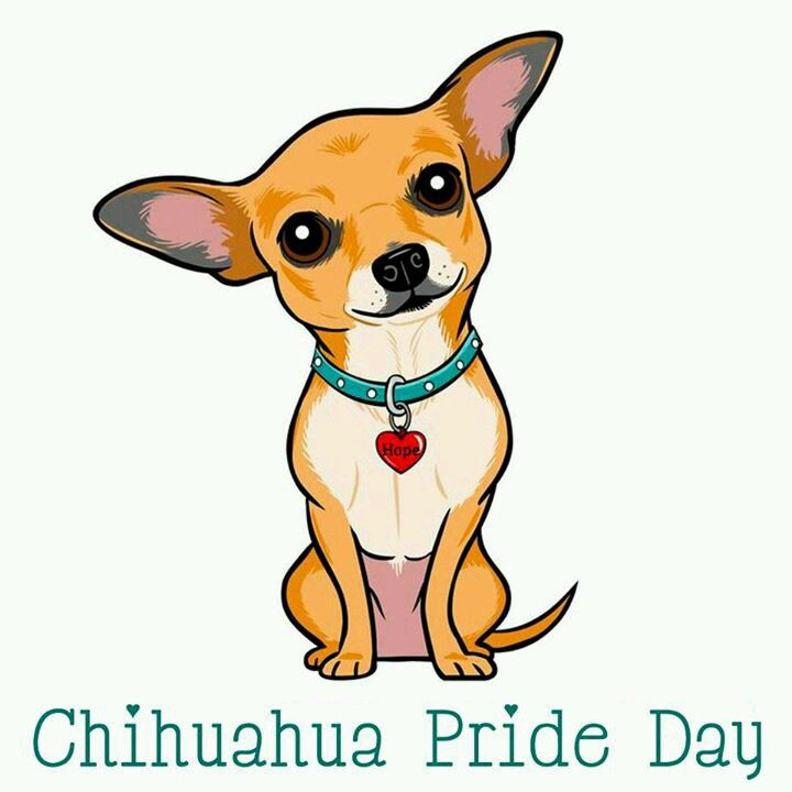 a small dog with a heart on it's collar sits in front of the words chihuahua pride day