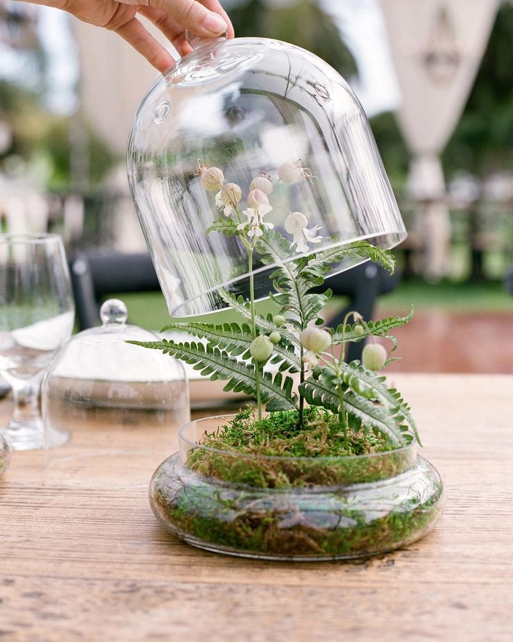 Terrarium Wedding Centerpiece, Family Style Table, Moss Wedding, Terrarium Centerpiece, Terrarium Wedding, Small Terrarium, Martha Weddings, Zoo Wedding, Family Style Dinner