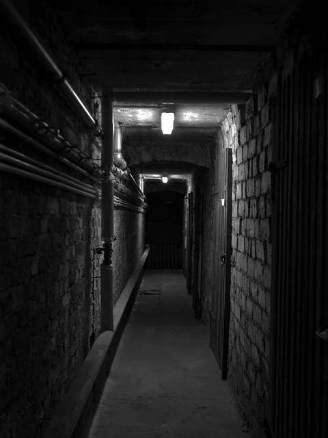 a long dark hallway with brick walls and bars