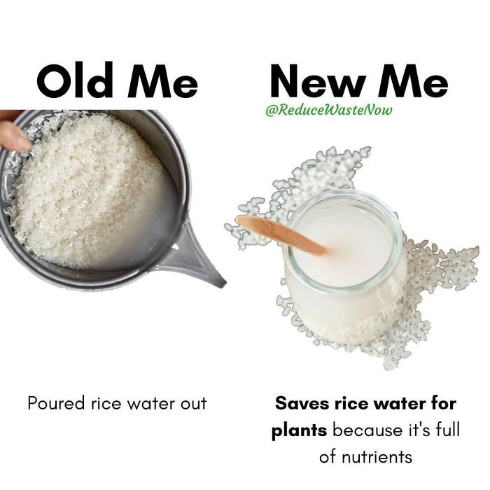 old me new me save rice water for plants because it's full of nutrits