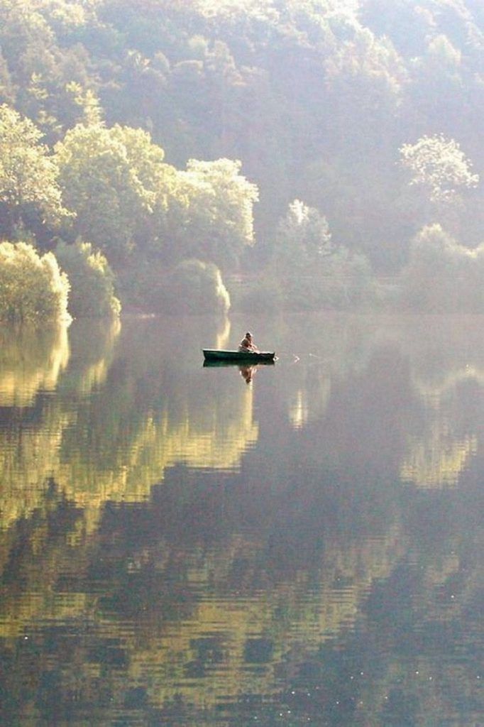 a person in a canoe on a lake surrounded by trees