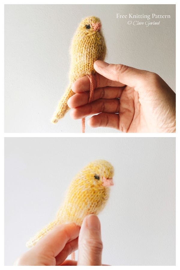 two pictures of someone holding a small yellow bird in their hand, and the second photo shows how it looks like