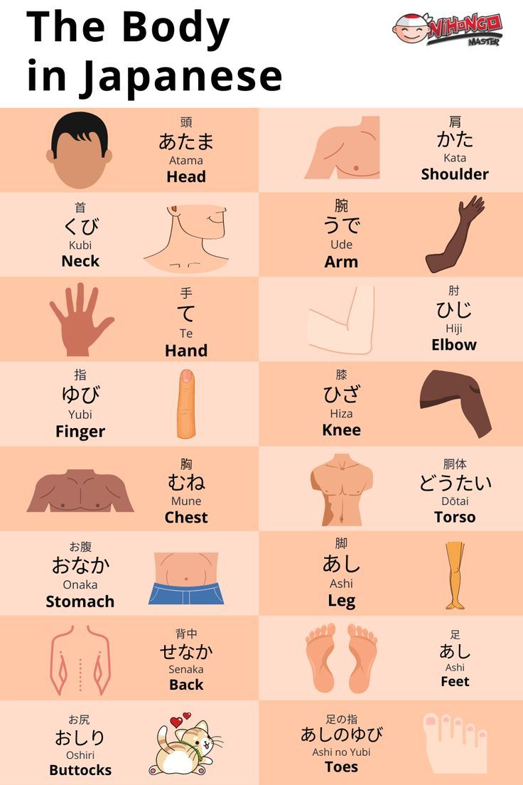 the body in japanese with different types of hands and feet, including one for each hand