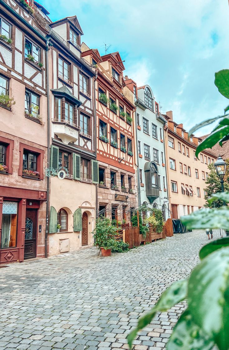 many different colored buildings on a cobblestone street with green plants in the foreground