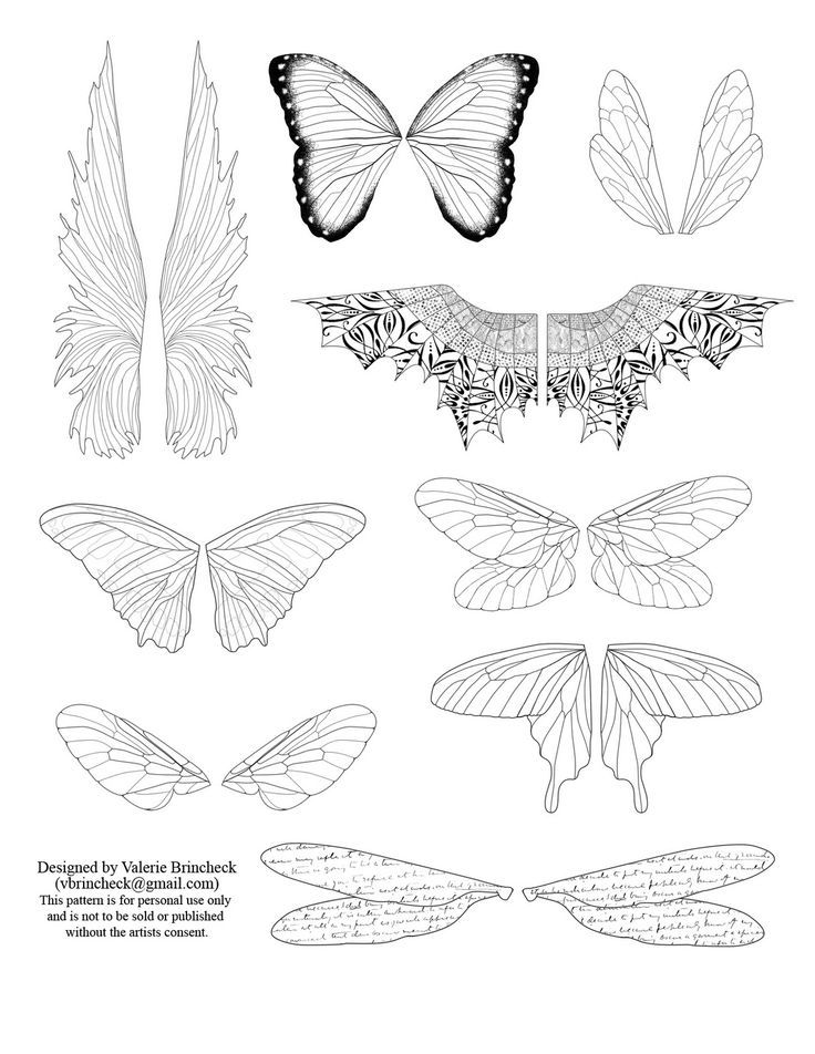 butterflies and their wings are shown in black and white, as well as the outlines for