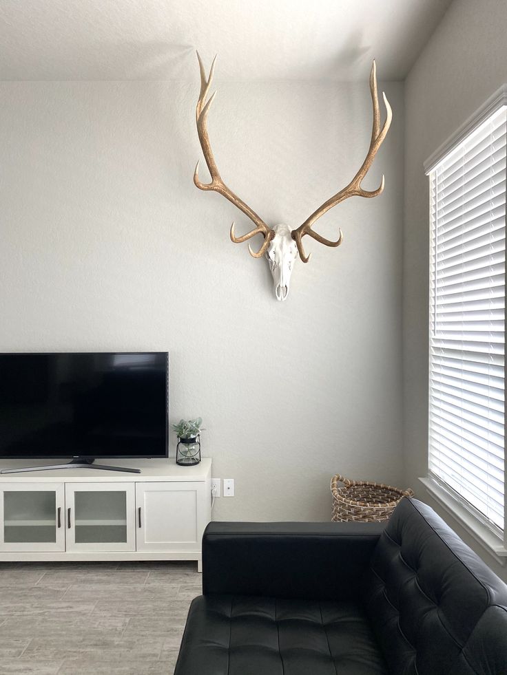 a living room with a couch, television and deer head mounted on the wall