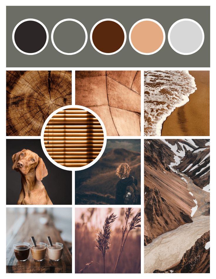 a collage of different pictures with brown and white colors, including the image of a dog