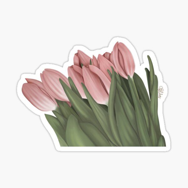 pink tulips sticker on white background with green stems in the foreground