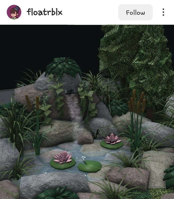 an image of a pond with plants and rocks