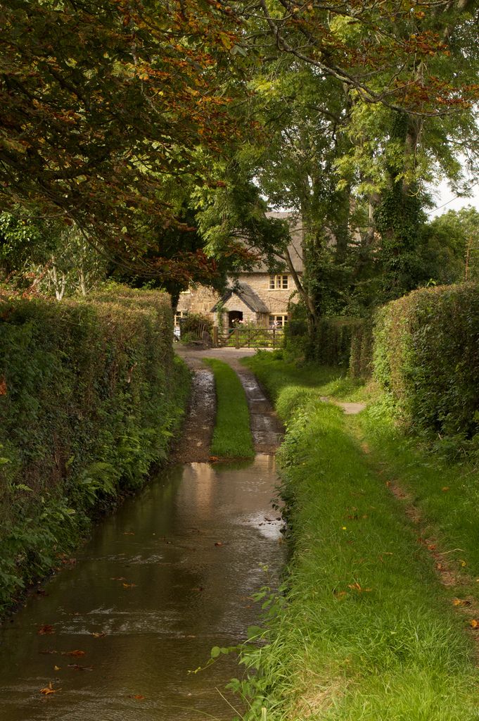 a river running through a lush green countryside