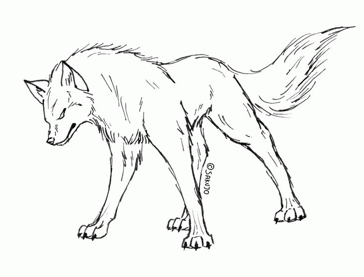 a black and white drawing of a wolf