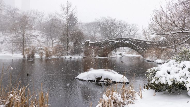 Central Park Conservancy