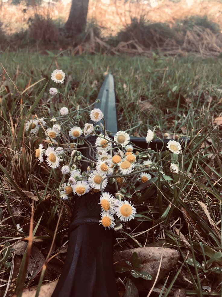 a bouquet of daisies in the grass near a kayak and some rocks with trees in the background